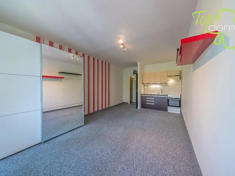 Pronájem bytu 1+kk, 30 m², Karviná, Orlová